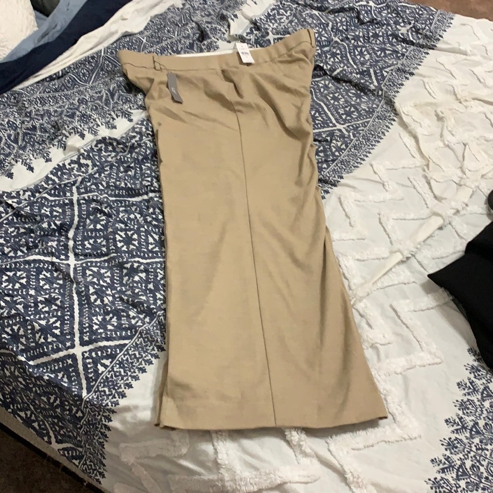 Loft pants